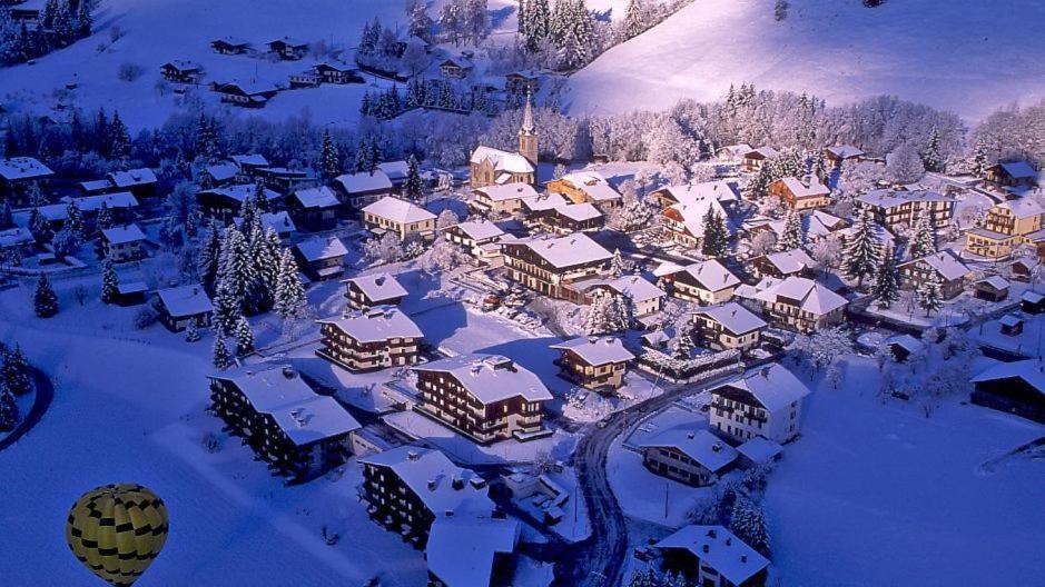 Fleur Des Montagnes Apartment Praz-sur-Arly Exterior foto